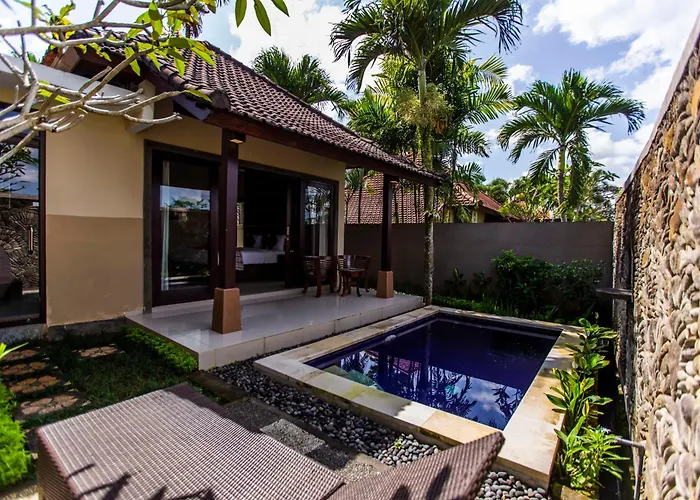 Mandi & Hotel 4*